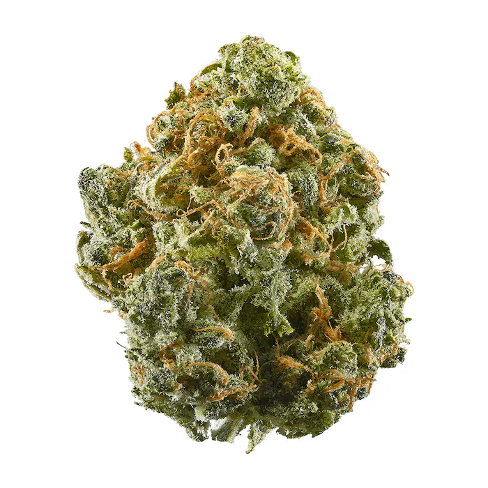 Buy Jack Herer Weed Strain