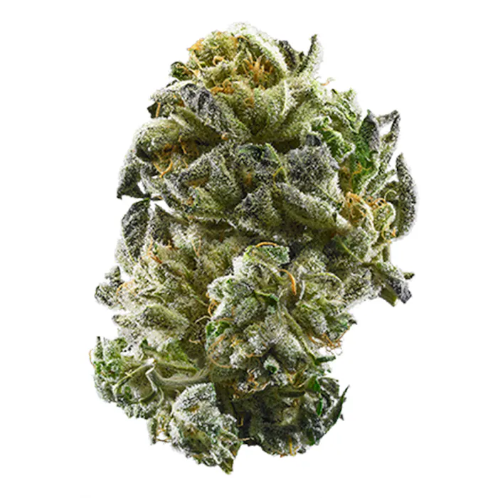 buy girl scout cookies weed strain