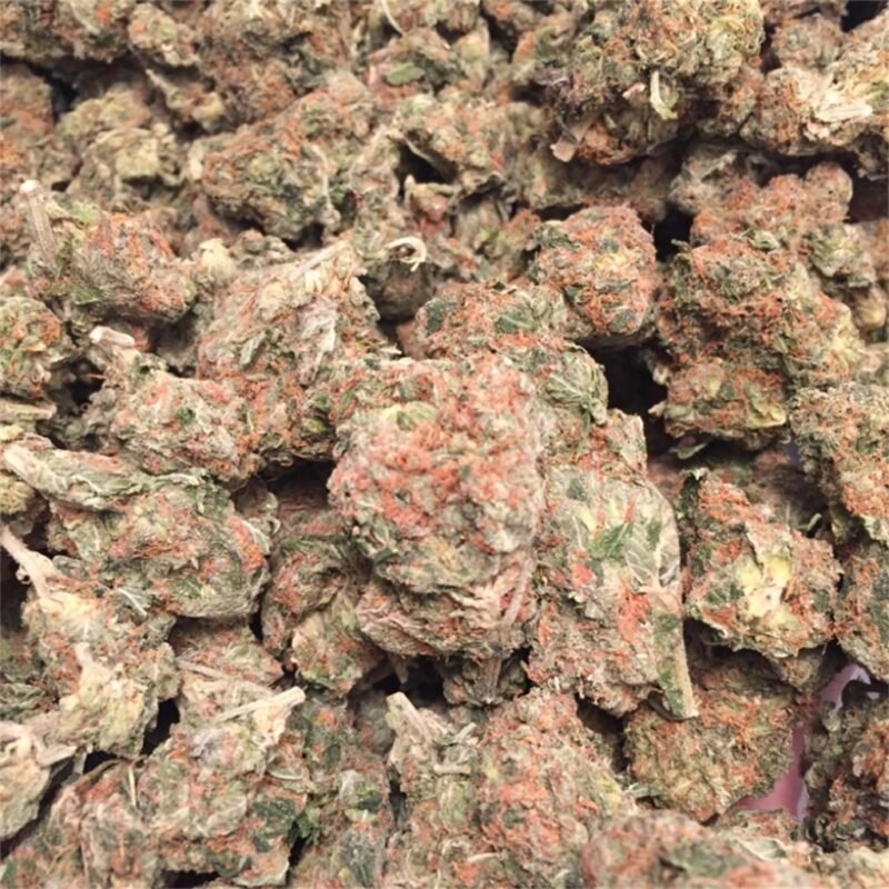 Buy OG Kush Cannabis Strain